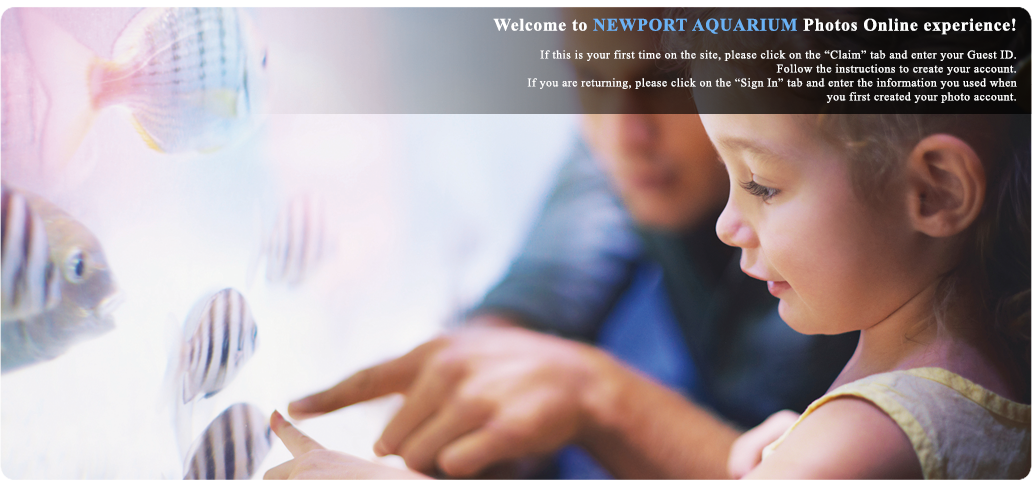 Newport Aquarium photos - Claim Photos