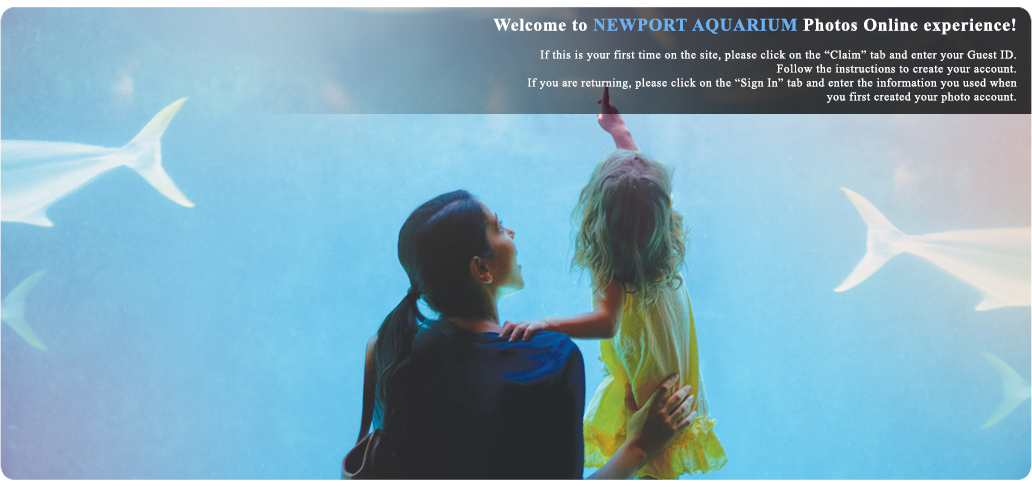 Newport Aquarium photos - Claim Photos
